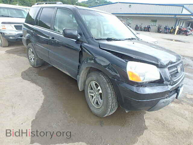 Photo 5FNYF18515B064113 - HONDA PILOT 2005