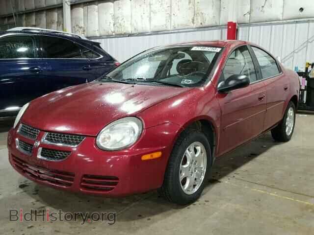 2004 DODGE NEON - VIN: 1B3ES56C44D541700 - Фото 2