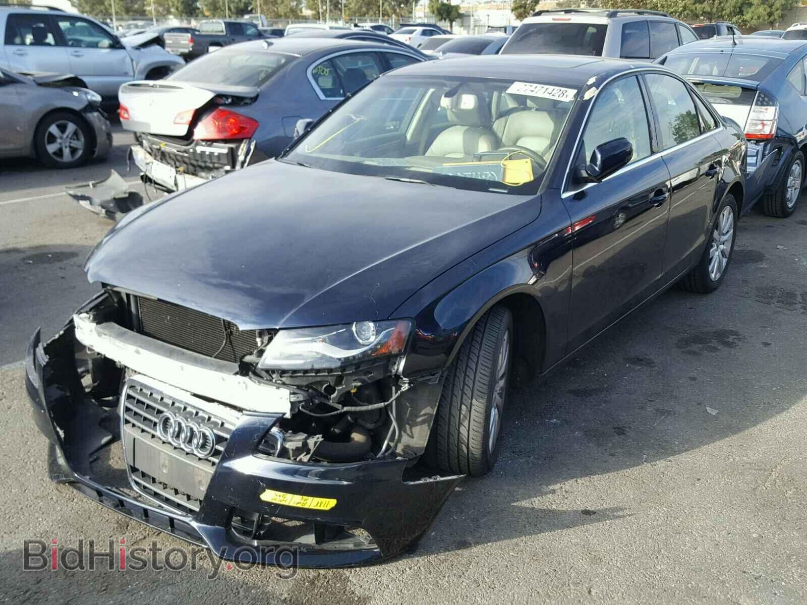 2011 AUDI A4 - VIN: WAUEFAFL2BN029434 - Фото 2