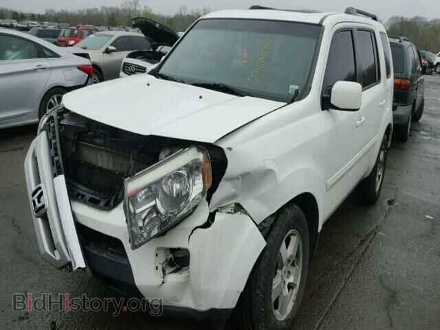 2011 HONDA PILOT - VIN: 5FNYF4H51BB010016 - Фото 2
