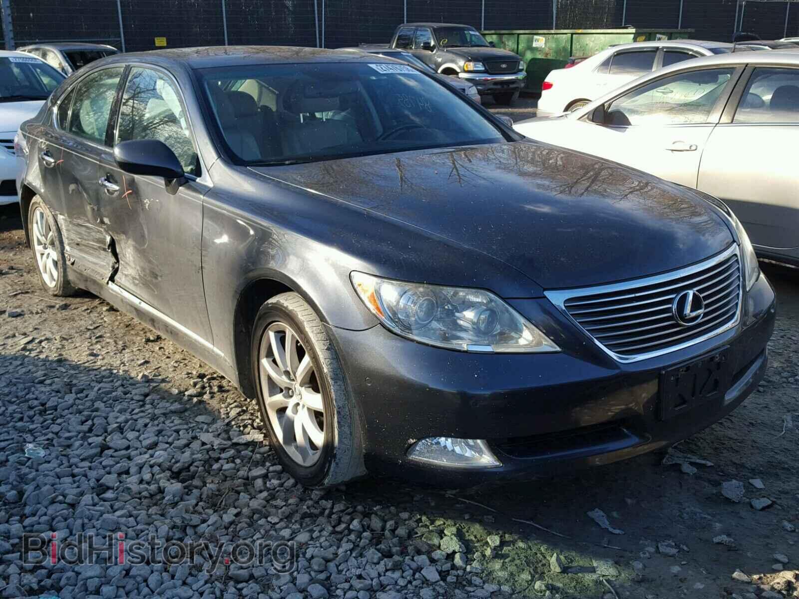 Фотография JTHBL46F085075054 - LEXUS LS460 2008