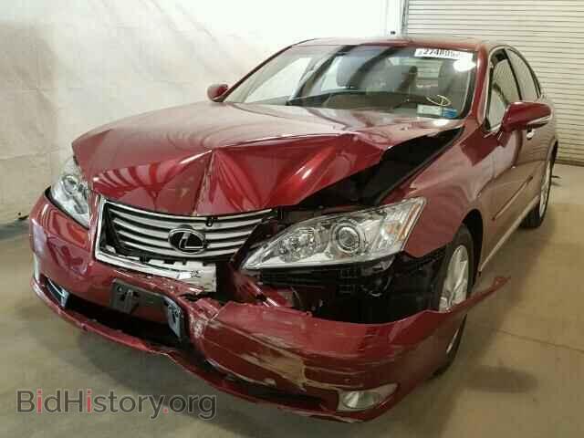 2010 LEXUS ES350 - VIN: JTHBK1EGXA2369967 - Фото 2
