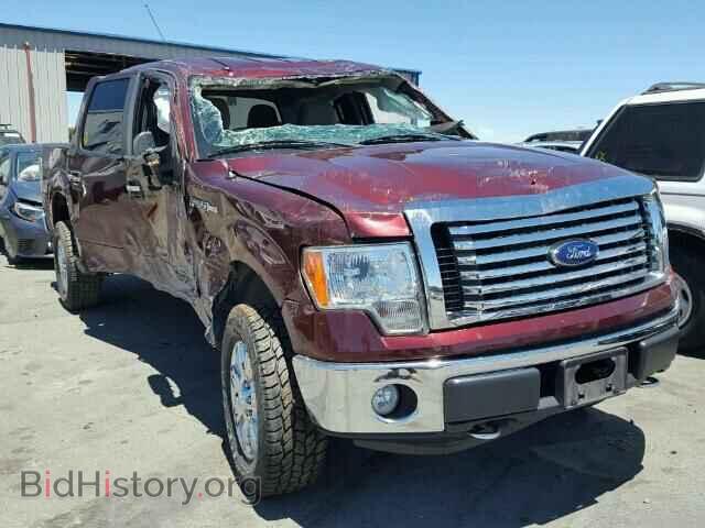 Фотография 1FTFW1EV3AFA73686 - FORD F150 2010
