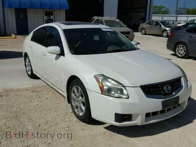 Photo 1N4BA41E38C835307 - NISSAN MAXIMA 2008