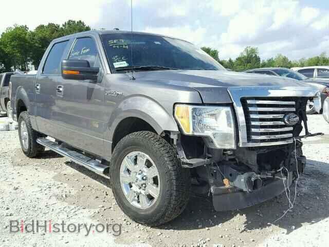 Фотография 1FTFW1CF8CFC40350 - FORD F150 2012