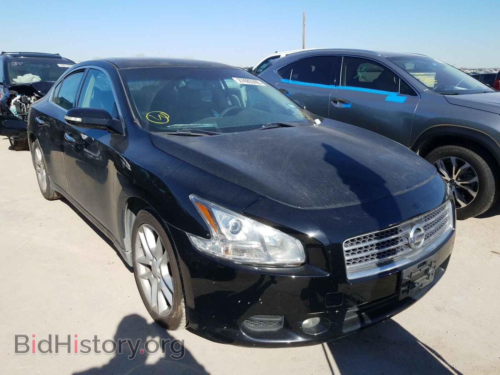 Photo 1N4AA5AP4AC824406 - NISSAN MAXIMA 2010