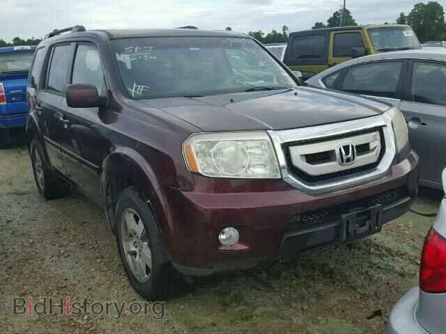 Фотография 5FNYF38579B019193 - HONDA PILOT 2009