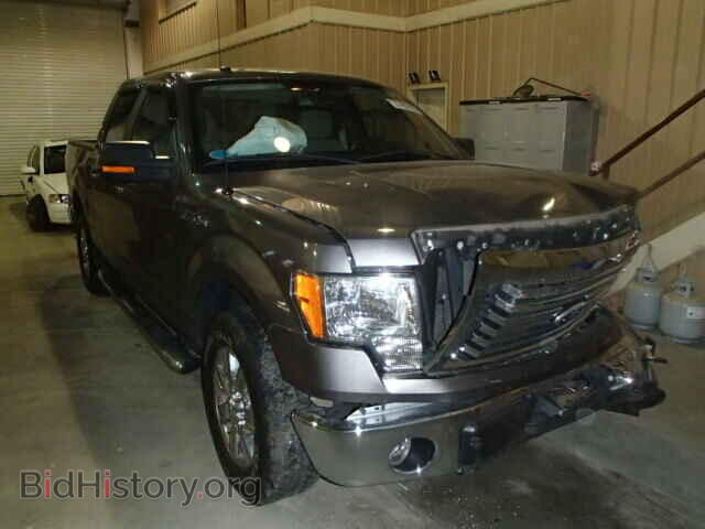 Фотография 1FTFW1CV0AFB84845 - FORD F150 2010