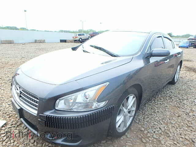 2009 NISSAN MAXIMA - VIN: 1N4AA51EX9C844024 - Фото 2