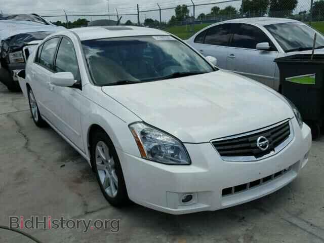 Photo 1N4BA41E28C821771 - NISSAN MAXIMA 2008
