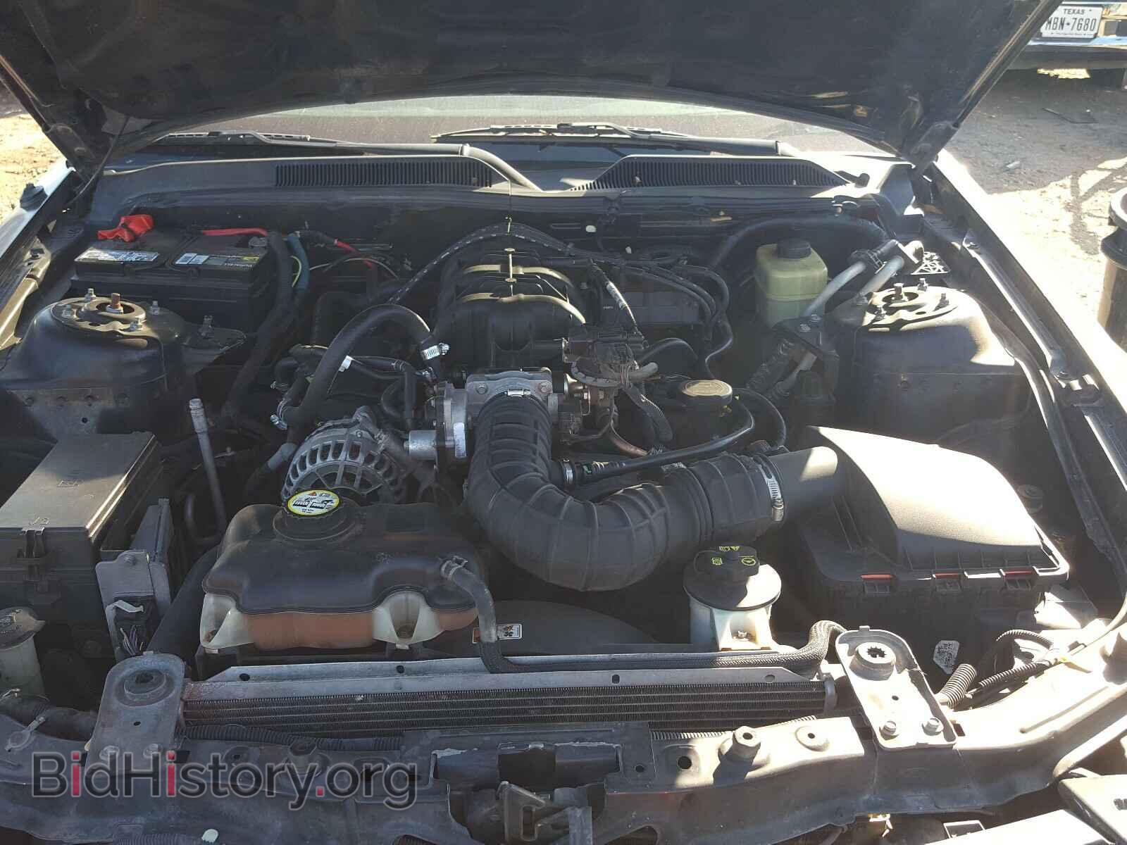 2005 FORD MUSTANG - VIN: 1ZVFT80N255136990 - Фото 7