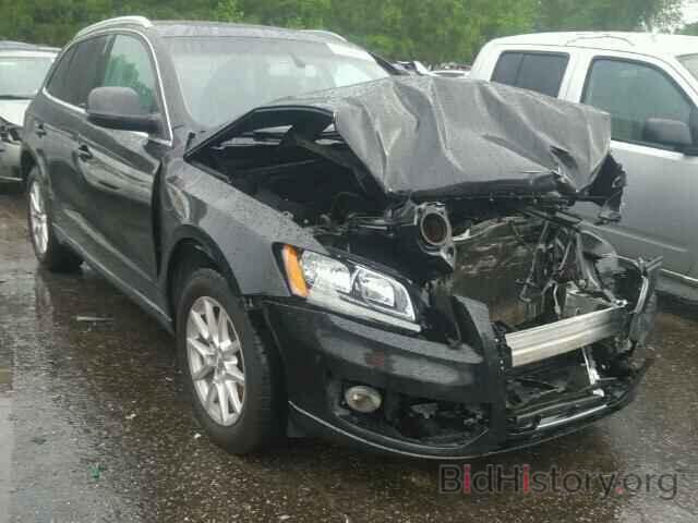 Photo WA1CKAFP7AA049574 - AUDI Q5 2010