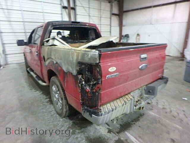 2011 FORD F150 - VIN: 1FTEW1CM7BKD31433 - Фото 3