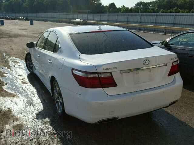 2007 LEXUS LS460 - VIN: JTHBL46FX75049026 - Фото 3