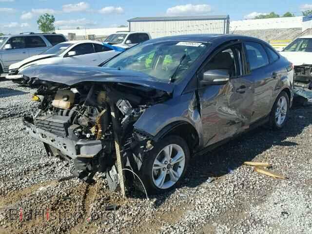 2014 FORD FOCUS - VIN: 1FADP3F2XEL425311 - Photo 2