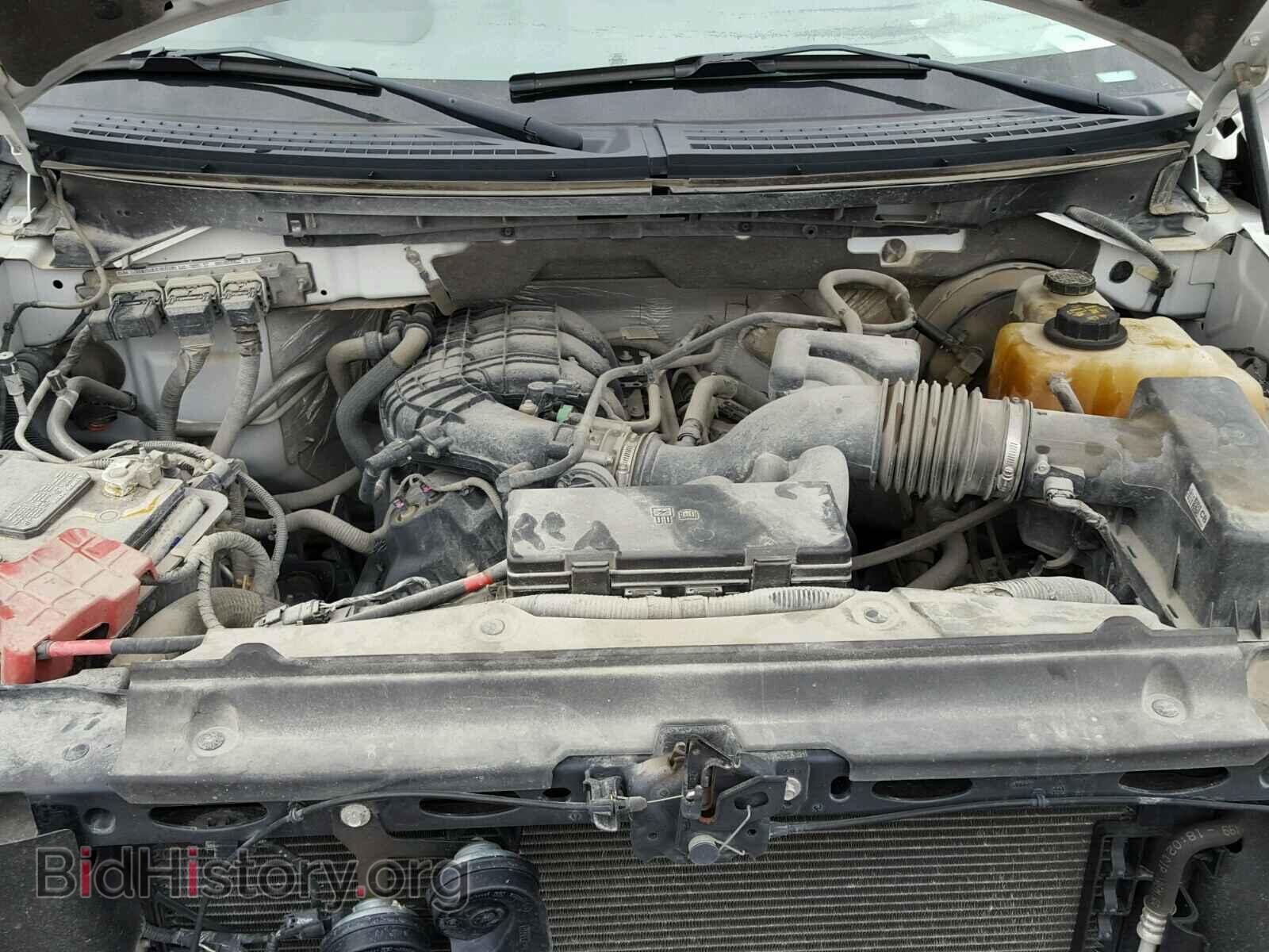 2013 FORD F150 - VIN: 1FTMF1CM7DFD39457 - Photo 7