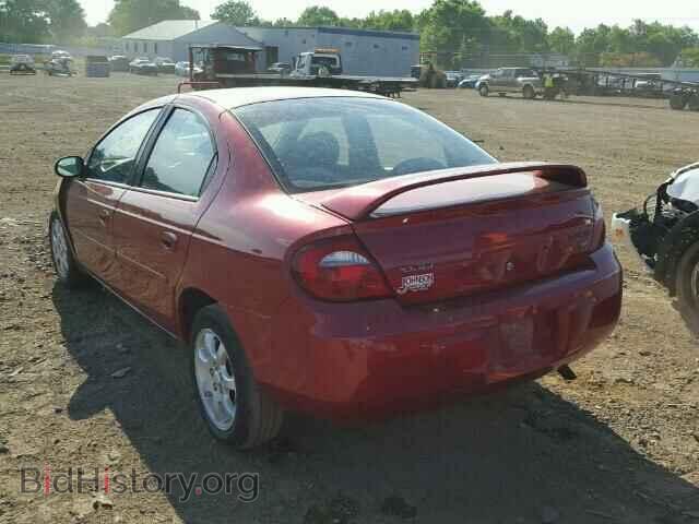 2005 DODGE NEON - VIN: 1B3ES56CX5D262317 - Фото 3