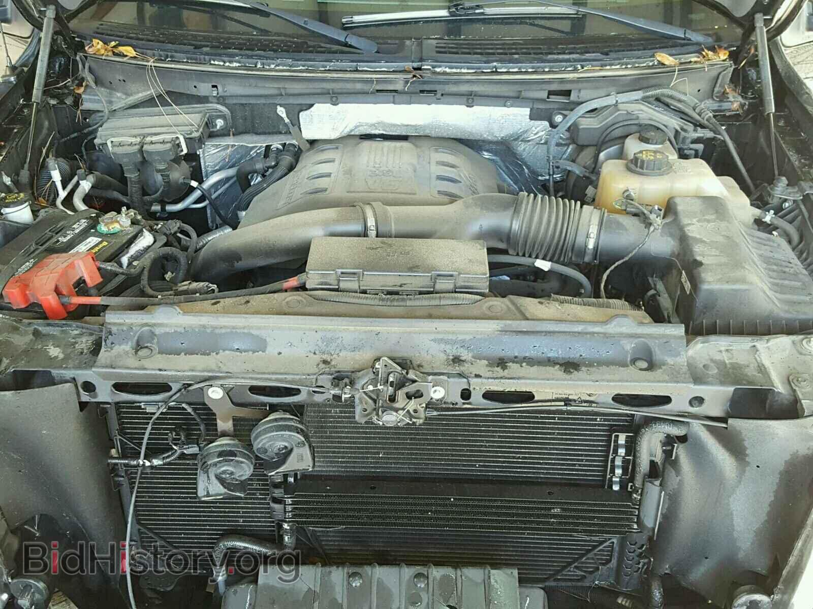 2012 FORD F150 - VIN: 1FTFX1ET7CFC48021 - Фото 7