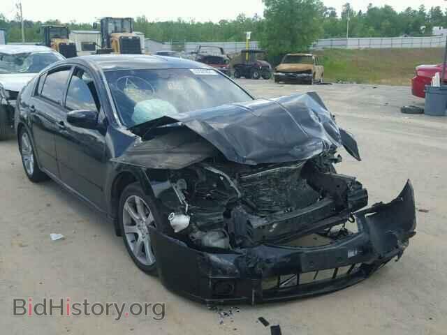 Photo 1N4BA41E78C819630 - NISSAN MAXIMA 2008