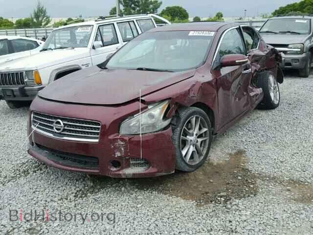 2009 NISSAN MAXIMA - VIN: 1N4AA51E99C851322 - Фото 2