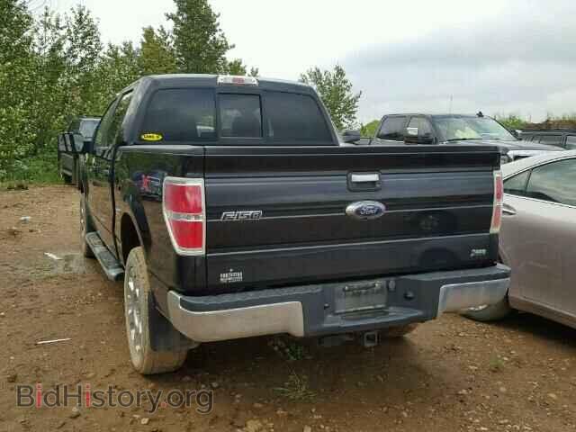 2010 FORD F150 - VIN: 1FTFW1EV7AFC19586 - Фото 3