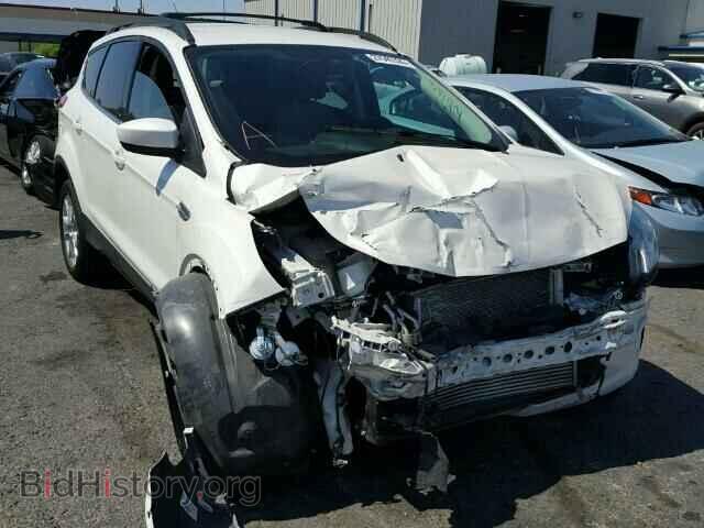 Фотография 1FMCU0GX7DUB70774 - FORD ESCAPE 2013