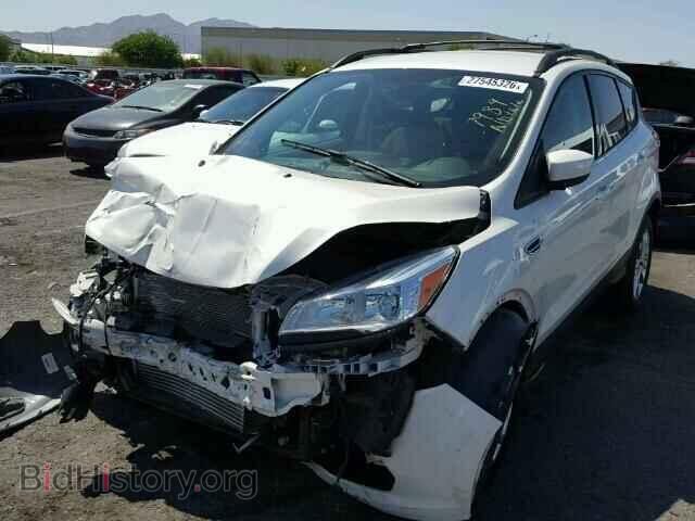 2013 FORD ESCAPE - VIN: 1FMCU0GX7DUB70774 - Photo 2