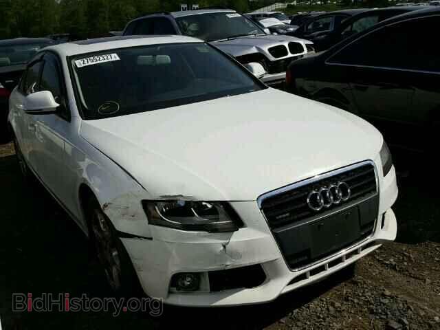 Фотография WAULF78K79N030152 - AUDI A4 2009