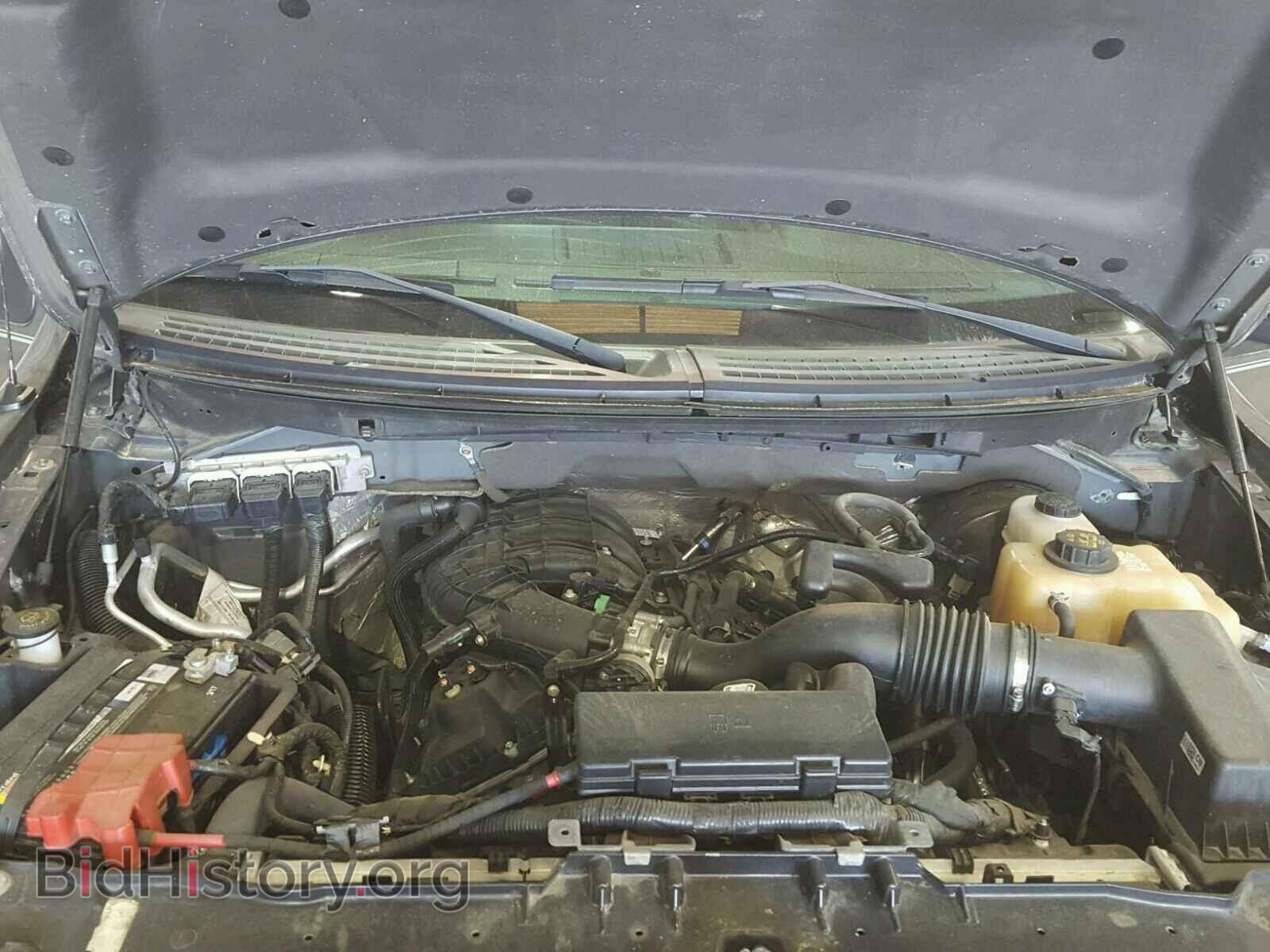 2013 FORD F150 - VIN: 1FTEX1CM9DFD45603 - Фото 7