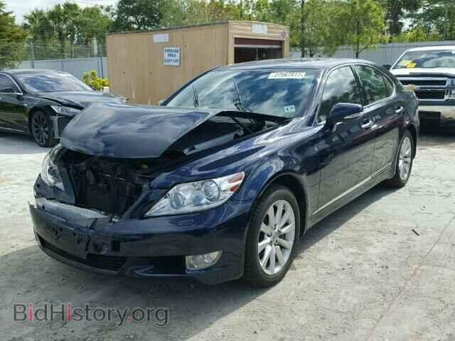 2010 LEXUS LS460 - VIN: JTHCL5EF9A5007580 - Фото 2