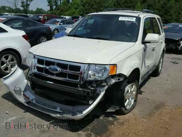 2011 FORD ESCAPE - VIN: 1FMCU9EG5BKC40028 - Фото 2