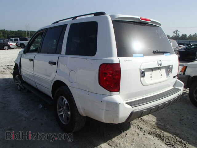2005 HONDA PILOT - VIN: 2HKYF184X5H528184 - Фото 3
