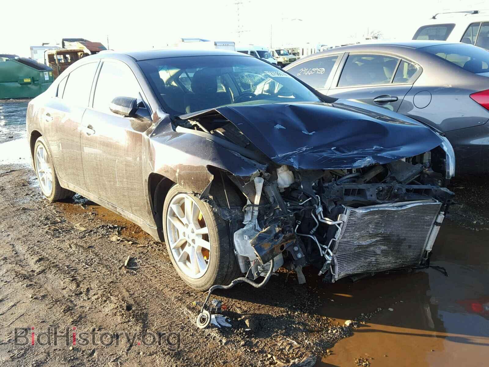 Фотография 1N4AA5AP9AC853769 - NISSAN MAXIMA S 2010