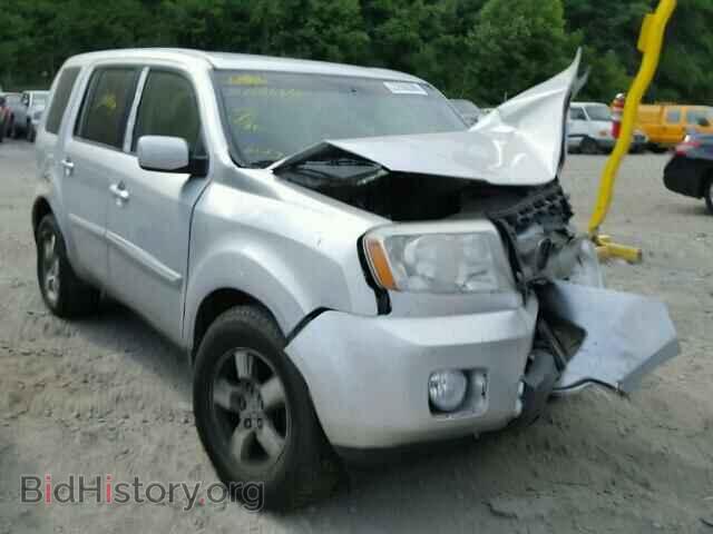 Фотография 5FNYF48599B018200 - HONDA PILOT 2009