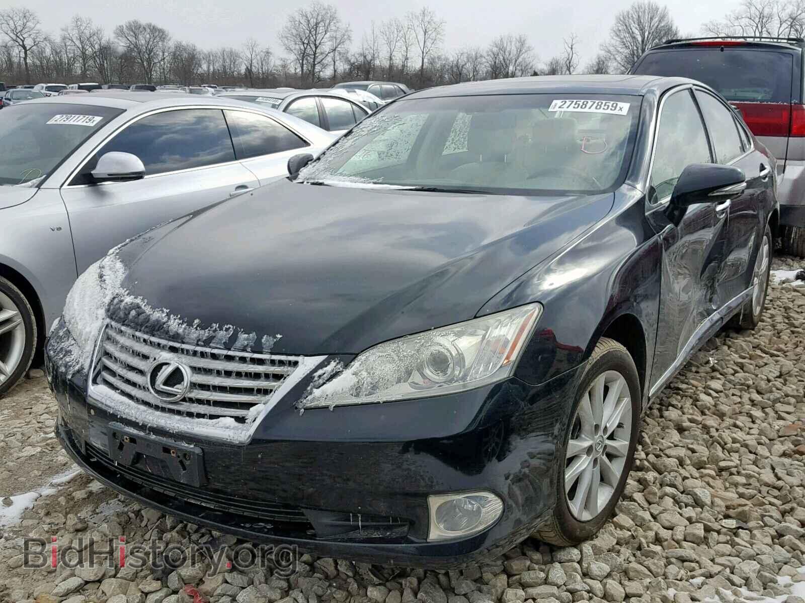 2010 LEXUS ES350 - VIN: JTHBK1EG1A2373132 - Фото 2