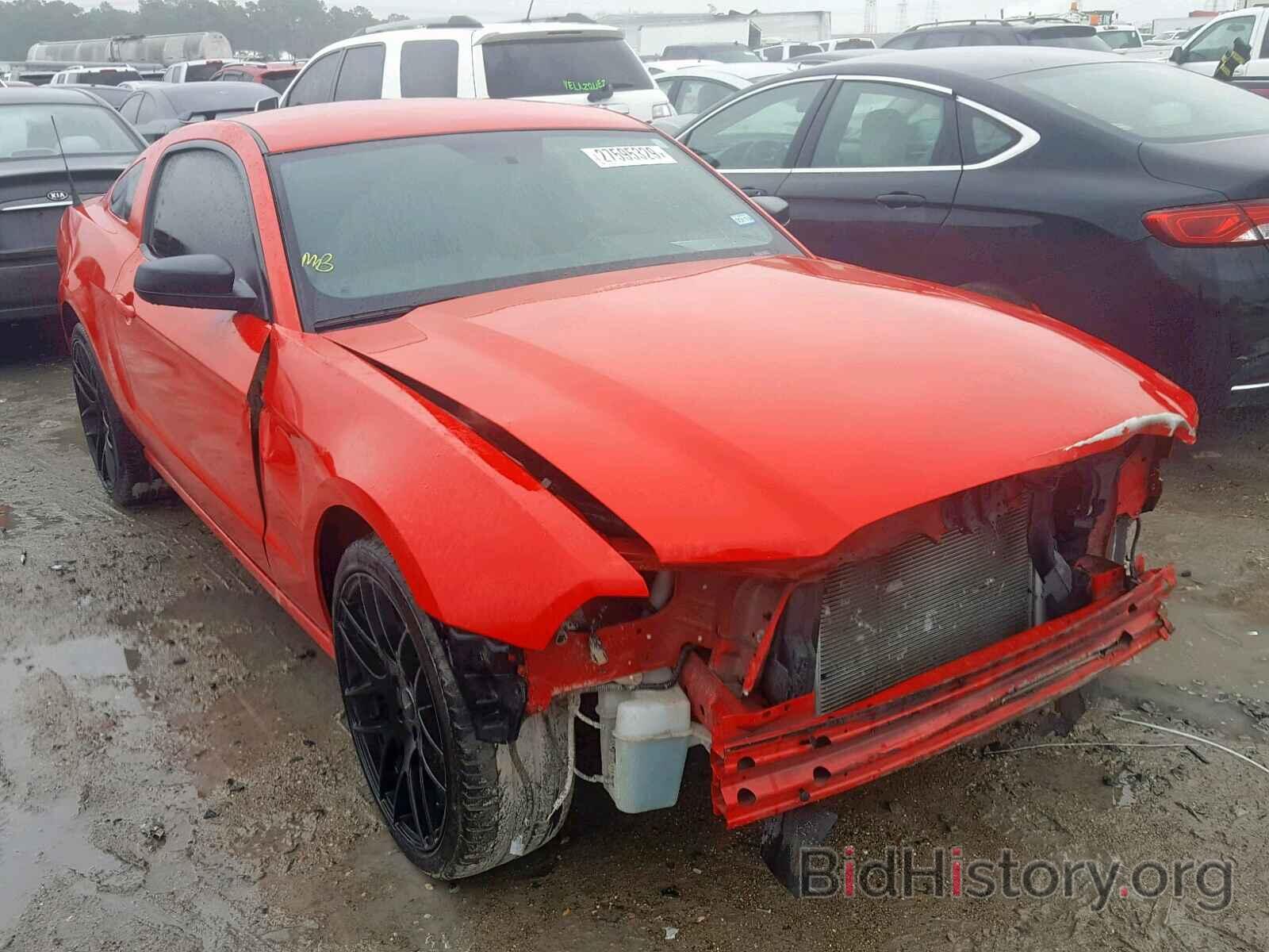 Photo 1ZVBP8AM8D5271303 - FORD MUSTANG 2013