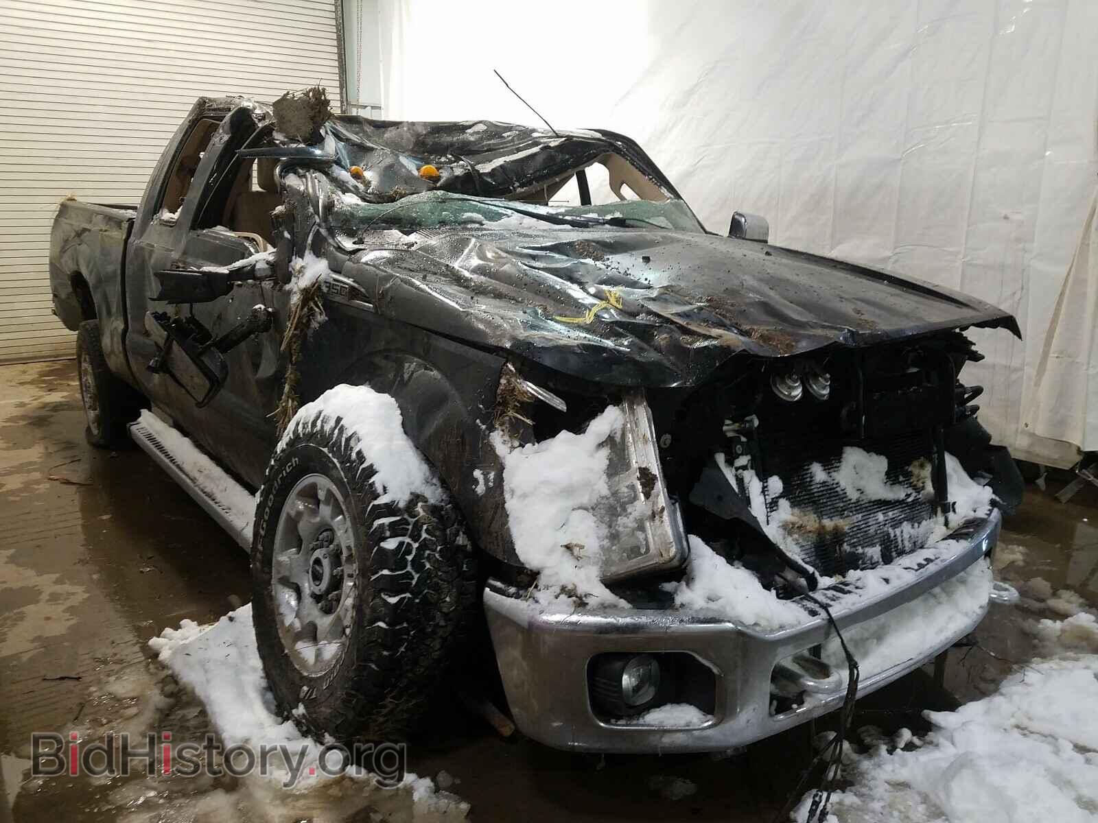 Photo 1FT8X3B61FEA18049 - FORD F350 2015
