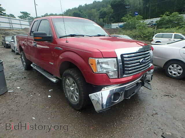 Photo 1FTFX1ET5BFB01596 - FORD F150 2011