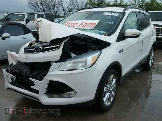 2013 FORD ESCAPE - VIN: 1FMCU0H90DUB08052 - Фото 2