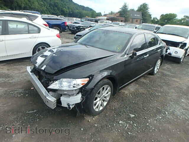 2011 LEXUS LS460 - VIN: JTHCL5EF5B5009585 - Фото 2