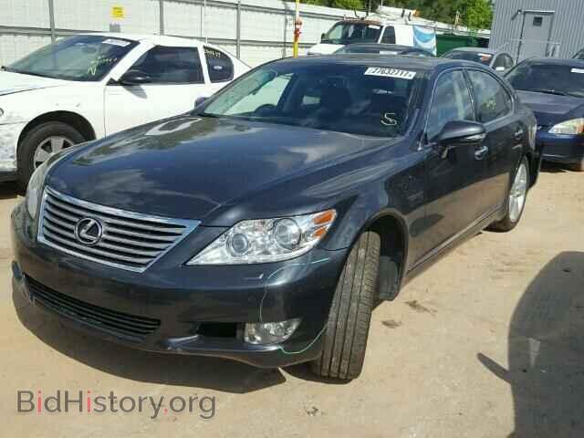 2011 LEXUS LS460 - VIN: JTHGL5EF8B5042632 - Фото 2