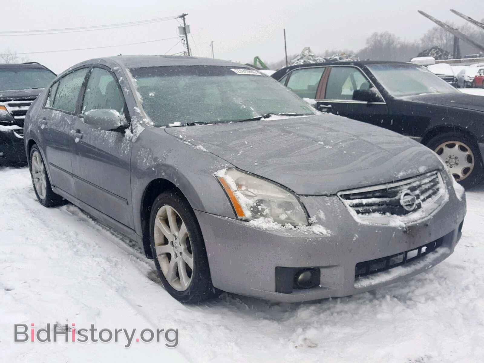 Photo 1N4BA41EX8C801445 - NISSAN MAXIMA 2008