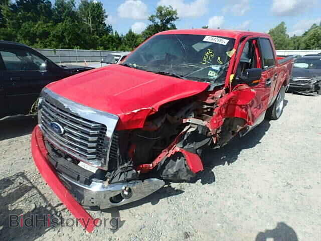2011 FORD F150 - VIN: 1FTEW1CM0BFA65570 - Фото 2