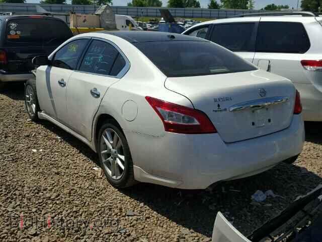 2010 NISSAN MAXIMA - VIN: 1N4AA5AP8AC834064 - Фото 3