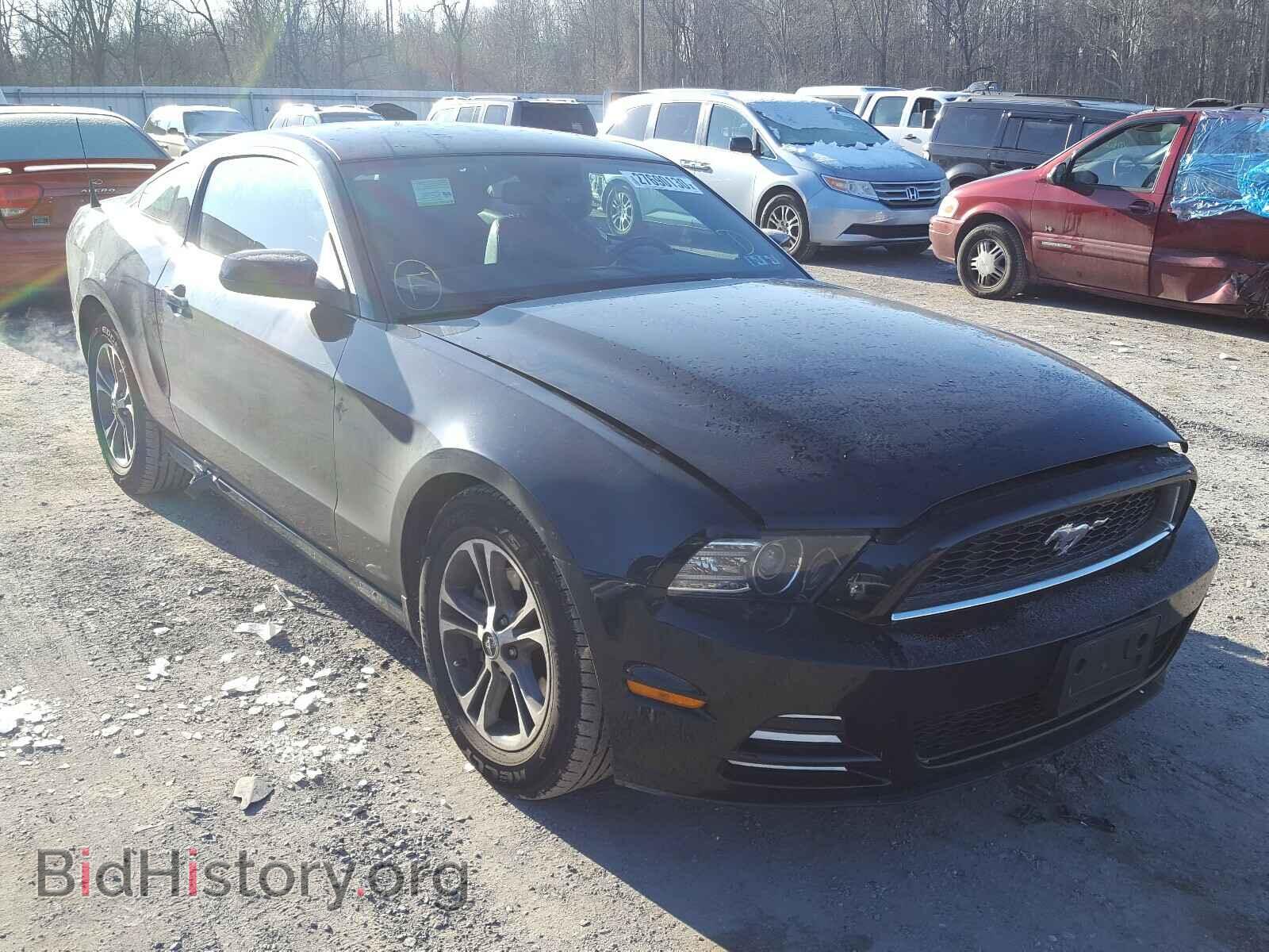 Фотография 1ZVBP8AM2D5247451 - FORD MUSTANG 2013
