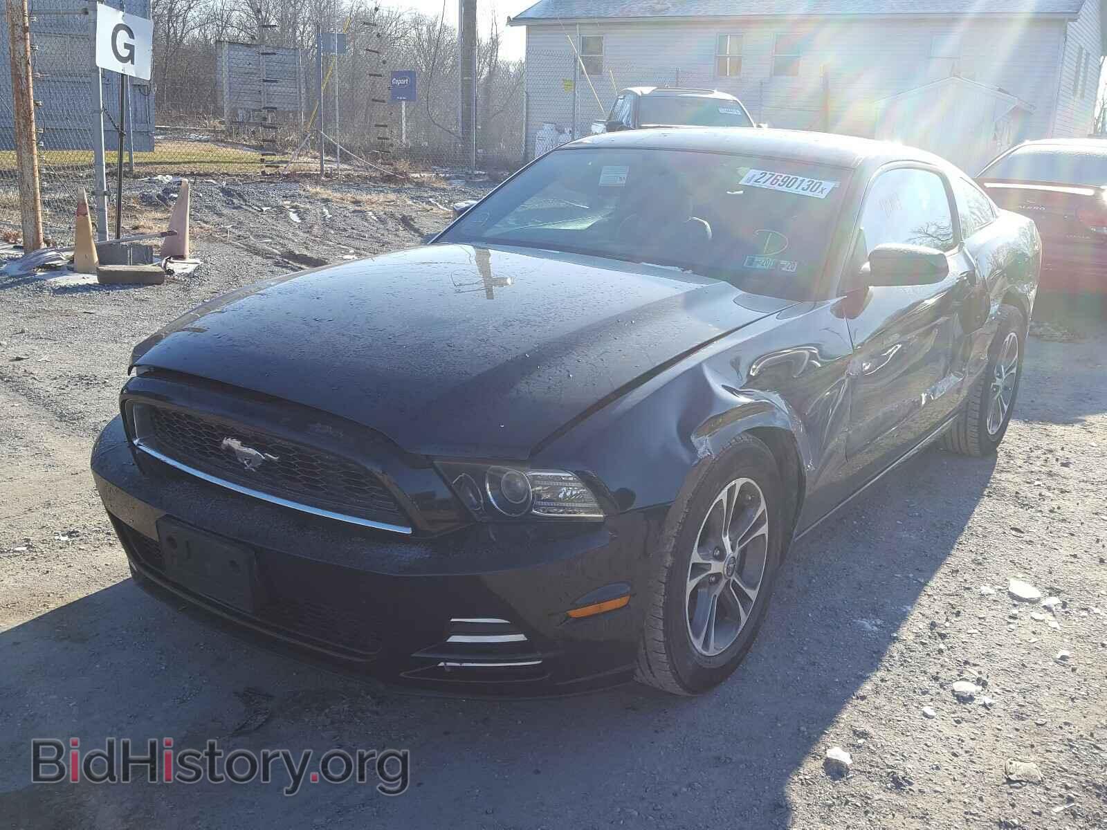 2013 FORD MUSTANG - VIN: 1ZVBP8AM2D5247451 - Фото 2