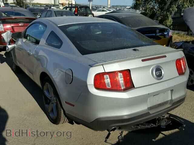 2010 FORD MUSTANG - VIN: 1ZVBP8CH7A5121114 - Фото 3