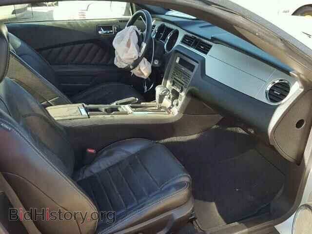 2010 FORD MUSTANG - VIN: 1ZVBP8CH7A5121114 - Фото 5