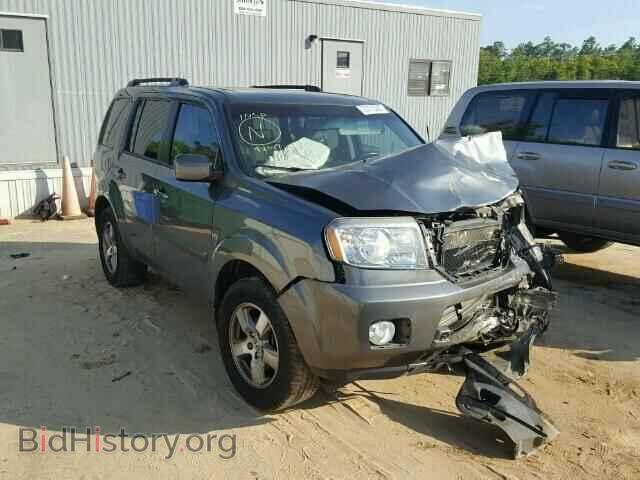 Фотография 5FNYF3H52BB024839 - HONDA PILOT 2011