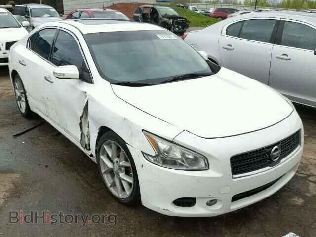 Фотография 1N4AA5AP7BC805995 - NISSAN MAXIMA 2011